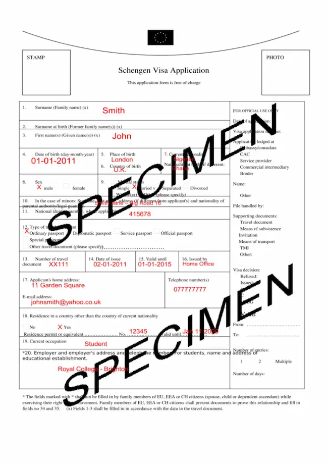 dummy Application form