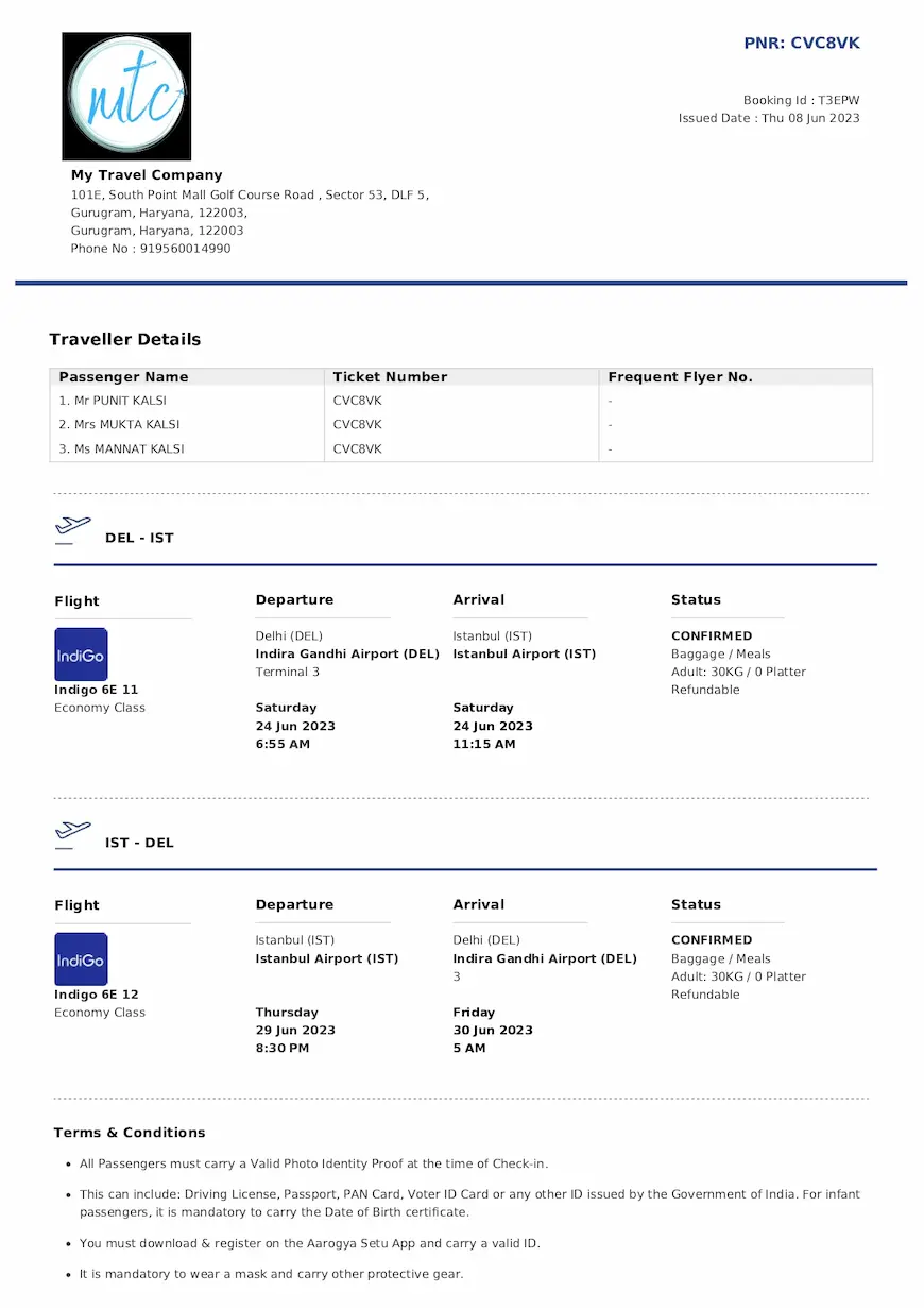 dummy flight tickets
