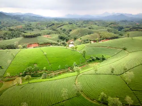 Colombia