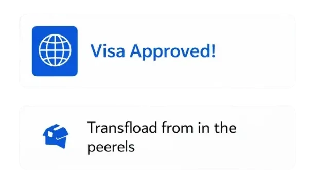 visa approval icon