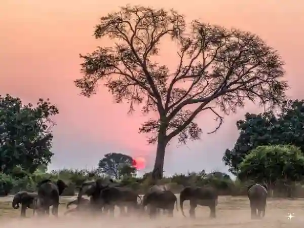 Zimbabwe