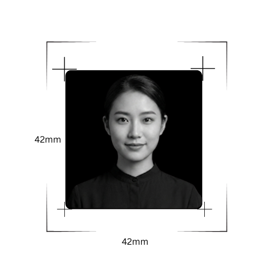visa pic meas